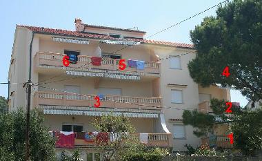 Holiday Apartment in Rab (Primorsko-Goranska) or holiday homes and vacation rentals