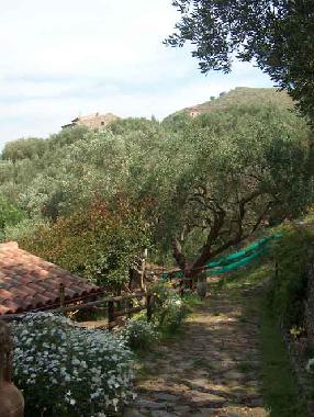 Holiday House in Ascea (Salerno) or holiday homes and vacation rentals
