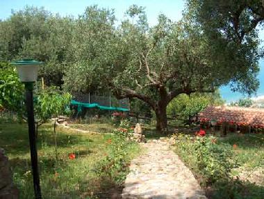 Holiday House in Ascea (Salerno) or holiday homes and vacation rentals