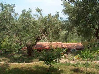 Holiday House in Ascea (Salerno) or holiday homes and vacation rentals