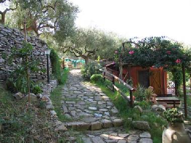 Holiday House in Ascea (Salerno) or holiday homes and vacation rentals