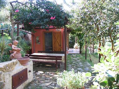 Holiday House in Ascea (Salerno) or holiday homes and vacation rentals