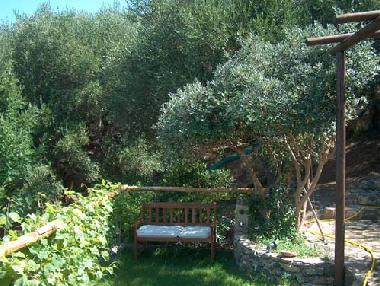 Holiday House in Ascea (Salerno) or holiday homes and vacation rentals