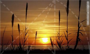 Holiday House in Ascea (Salerno) or holiday homes and vacation rentals