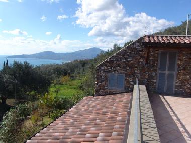 Holiday House in Ascea (Salerno) or holiday homes and vacation rentals