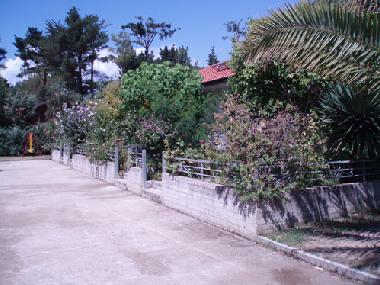 Holiday House in Ascea (Salerno) or holiday homes and vacation rentals