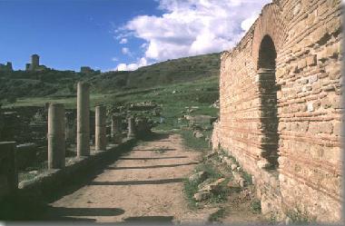 Holiday House in Ascea (Salerno) or holiday homes and vacation rentals