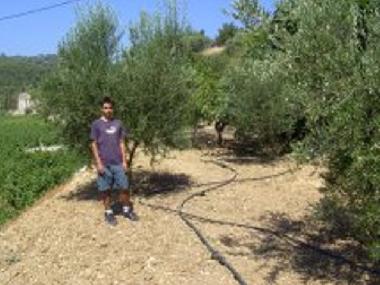 Holiday House in Karlovassi (Samos) or holiday homes and vacation rentals