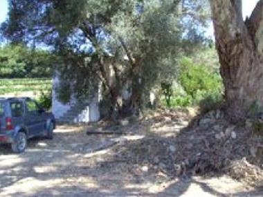 Holiday House in Karlovassi (Samos) or holiday homes and vacation rentals