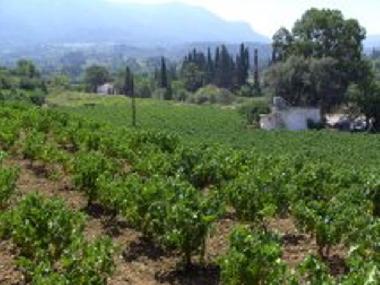 Holiday House in Karlovassi (Samos) or holiday homes and vacation rentals