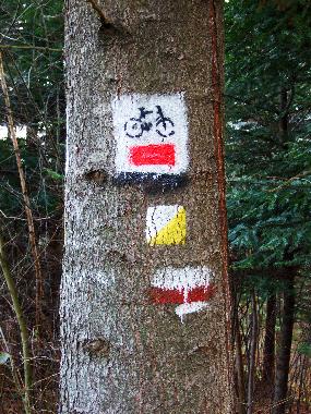 Holiday House in Uherce Mineralne (Podkarpackie) or holiday homes and vacation rentals