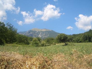 view from back of house