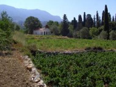 Holiday House in Karlovasi (Samos) or holiday homes and vacation rentals