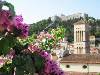 Holiday Apartment in Hvar (Splitsko-Dalmatinska) or holiday homes and vacation rentals