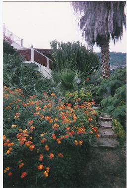 Holiday Apartment in Joppolo (Vibo Valentia) or holiday homes and vacation rentals