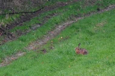 Holiday House in Uherce Mineralne (Podkarpackie) or holiday homes and vacation rentals