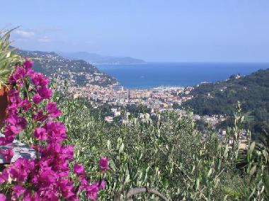 Holiday Apartment in Rapallo (Genova) or holiday homes and vacation rentals