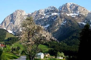 Holiday Apartment in Abtenau (Salzburg und Umgebung) or holiday homes and vacation rentals