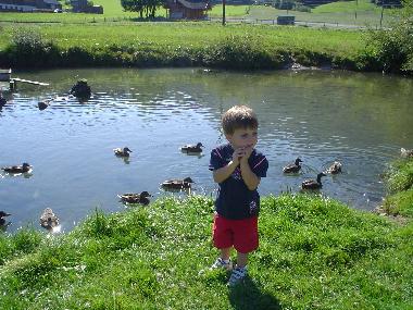 Holiday Apartment in Abtenau (Salzburg und Umgebung) or holiday homes and vacation rentals