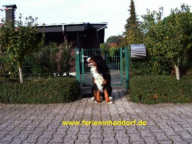 Holiday House in Wettringen (Mnsterland) or holiday homes and vacation rentals