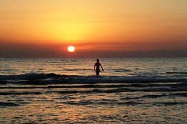 Holiday Apartment in OLIVA (Valencia / Val�ncia) or holiday homes and vacation rentals