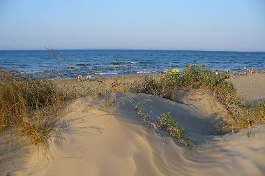 Holiday Apartment in OLIVA (Valencia / Val�ncia) or holiday homes and vacation rentals