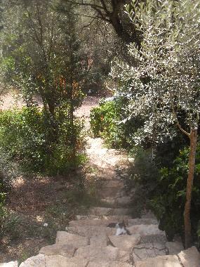 Chalet in Olympos (Antalya) or holiday homes and vacation rentals