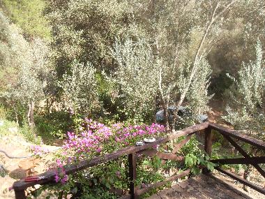 Chalet in Olympos (Antalya) or holiday homes and vacation rentals