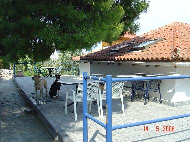 Holiday Apartment in Skiathos (Magnisia) or holiday homes and vacation rentals