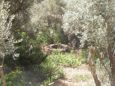 Chalet in Olympos (Antalya) or holiday homes and vacation rentals