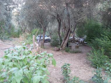 Chalet in Olympos (Antalya) or holiday homes and vacation rentals