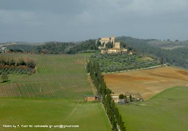 The Tower, the Castle ... cypresses