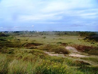 Holiday House in Denneville-Plage (Manche) or holiday homes and vacation rentals