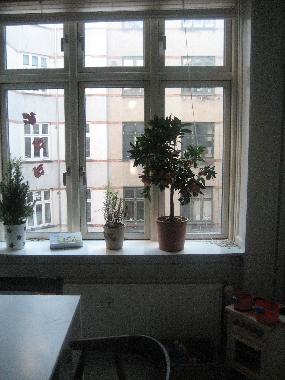 Kitchen and dining room