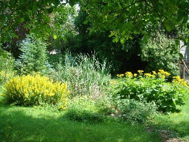 Holiday House in Wildberg (Black Forest) or holiday homes and vacation rentals
