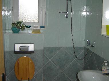 Holiday House in Sisan-Medulin (Istarska) or holiday homes and vacation rentals