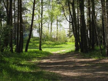 Holiday House in Lenz (Mecklenburgische Seenplatte) or holiday homes and vacation rentals