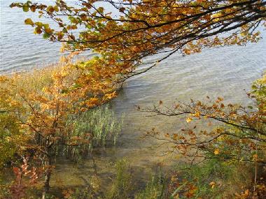 Holiday House in Lenz (Mecklenburgische Seenplatte) or holiday homes and vacation rentals