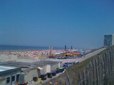 Beach across the road (summertime)