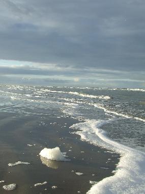 Holiday Apartment in Zandvoort (Noord-Holland) or holiday homes and vacation rentals