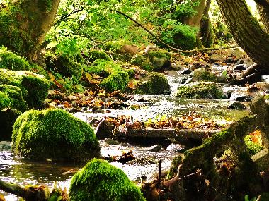 Holiday Apartment in Andenhausen (Thuringian forest) or holiday homes and vacation rentals