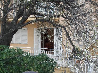 Holiday House in ZADAR (Zadarska) or holiday homes and vacation rentals