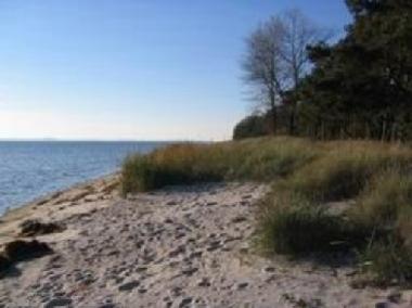 Holiday Apartment in Zudar (Ostsee-Inseln) or holiday homes and vacation rentals