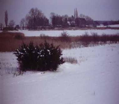 Holiday Apartment in Zudar (Ostsee-Inseln) or holiday homes and vacation rentals