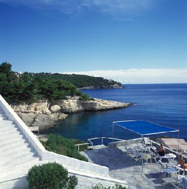 Holiday House in Athenes (Attiki) or holiday homes and vacation rentals