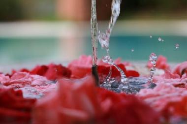 Bed and Breakfast in Marrakech (Marrakech) or holiday homes and vacation rentals