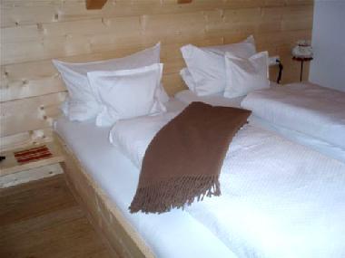 Holiday Apartment in Bad Tlz (Upper Bavaria) or holiday homes and vacation rentals