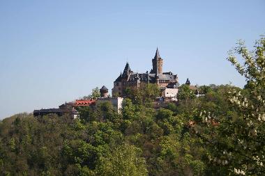 the Wernigerode Castle, surrounded by dense forests
