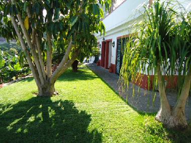 Holiday Apartment in Machico (Porto da Cruz) (Madeira) or holiday homes and vacation rentals
