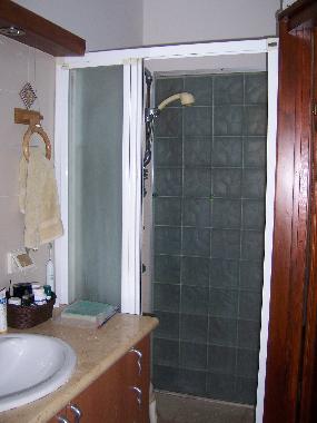 shower in en-suite bathroom